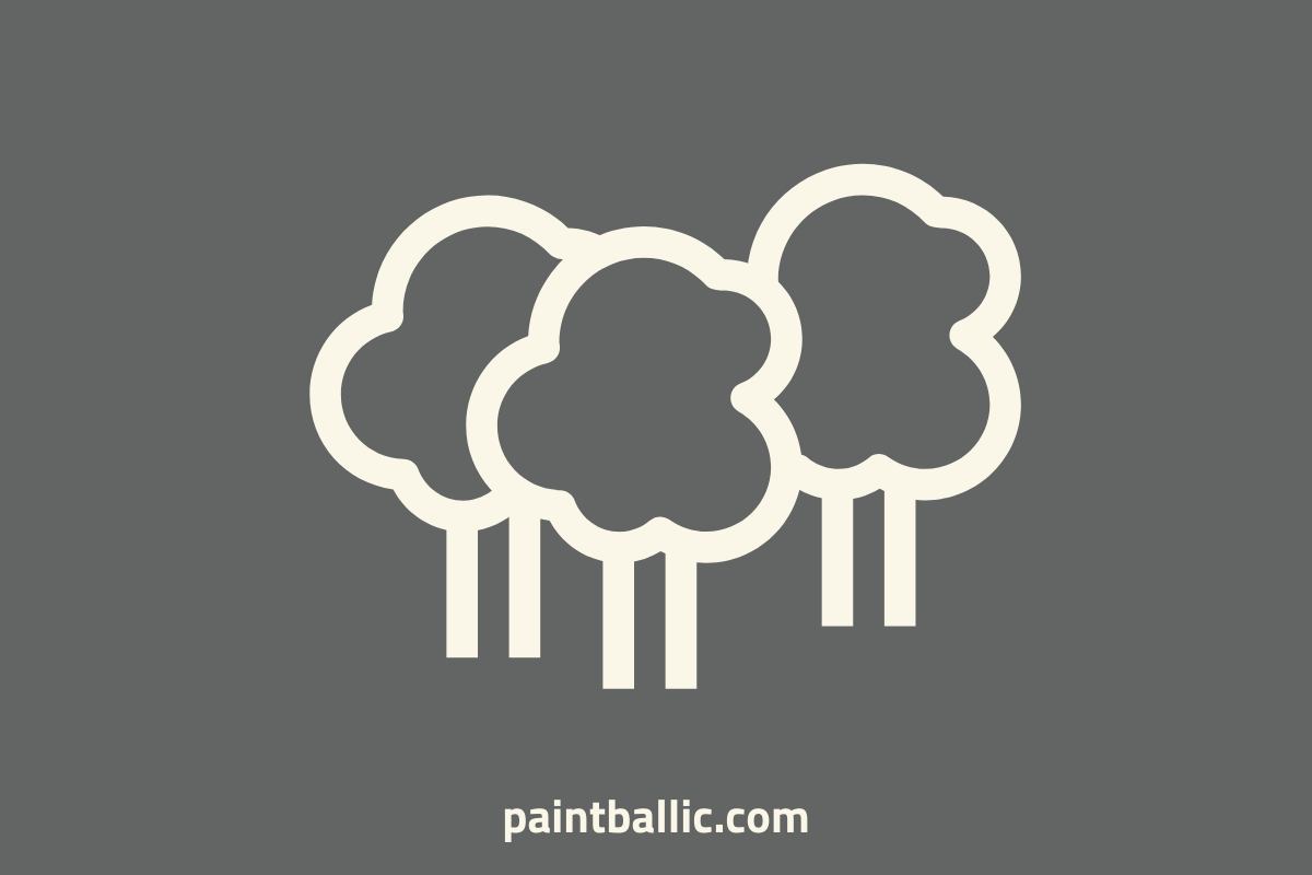 Can You Play Paintball Anywhere Public, Woods, Backyard